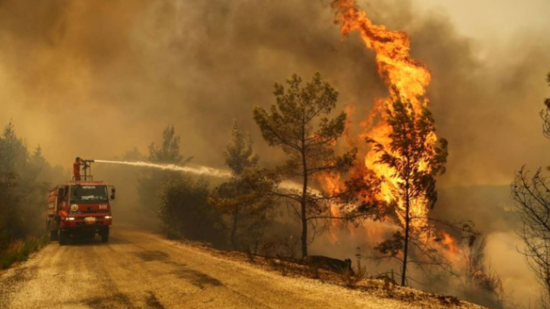 حرائق الغابات في تركيا