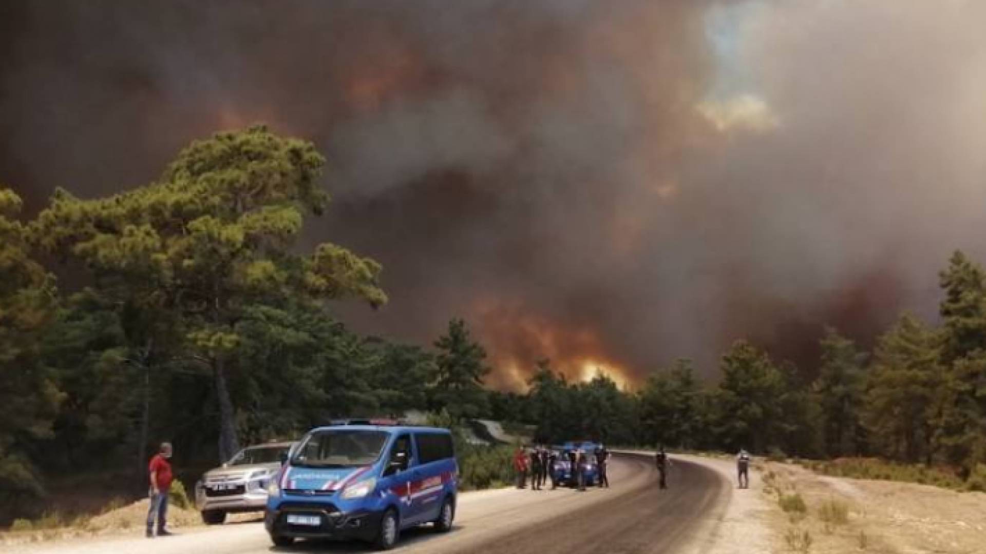 تقول السلطات التركية إنه لا يمكن استبعاد احتمال أن تكون هذه الحرائق مفتعلة