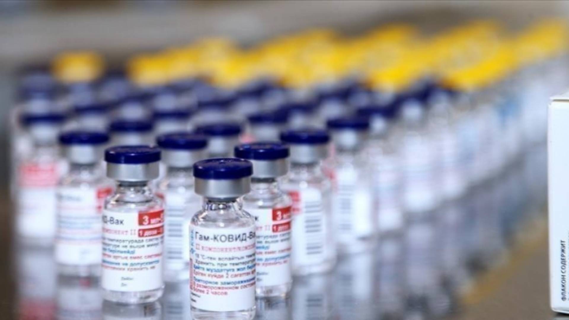 لقاح كورونا - ارشيفية