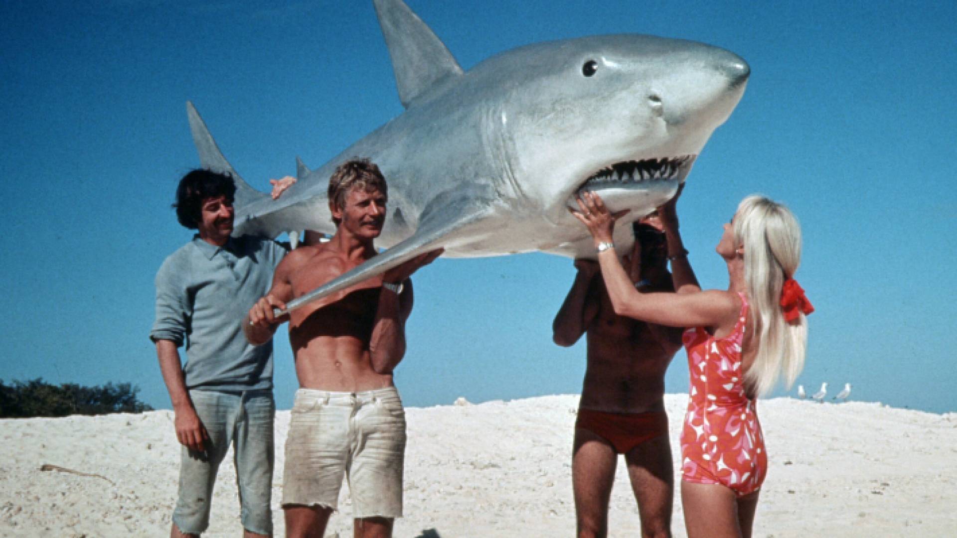 خلال التقاط صورة للغواصة الأسترالية فاليري تايلور مع سمكة قرش برفقة أصدقائها