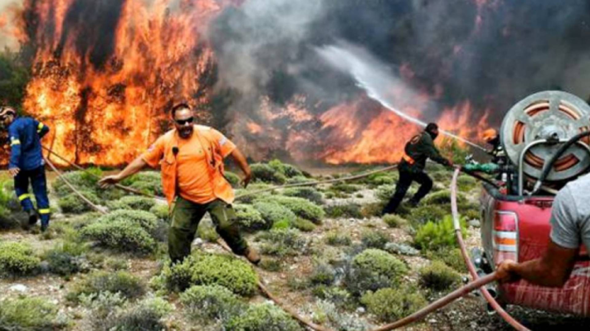 من حرائق الغابات في تركيا