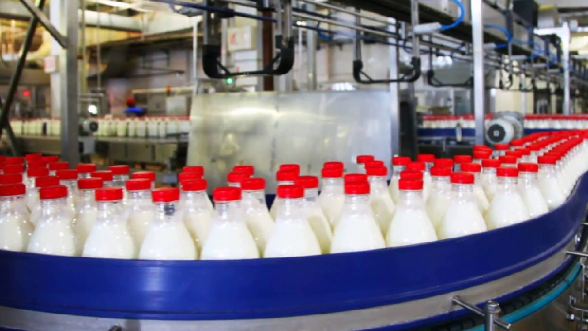 منتجات ألبان - تعبيرية