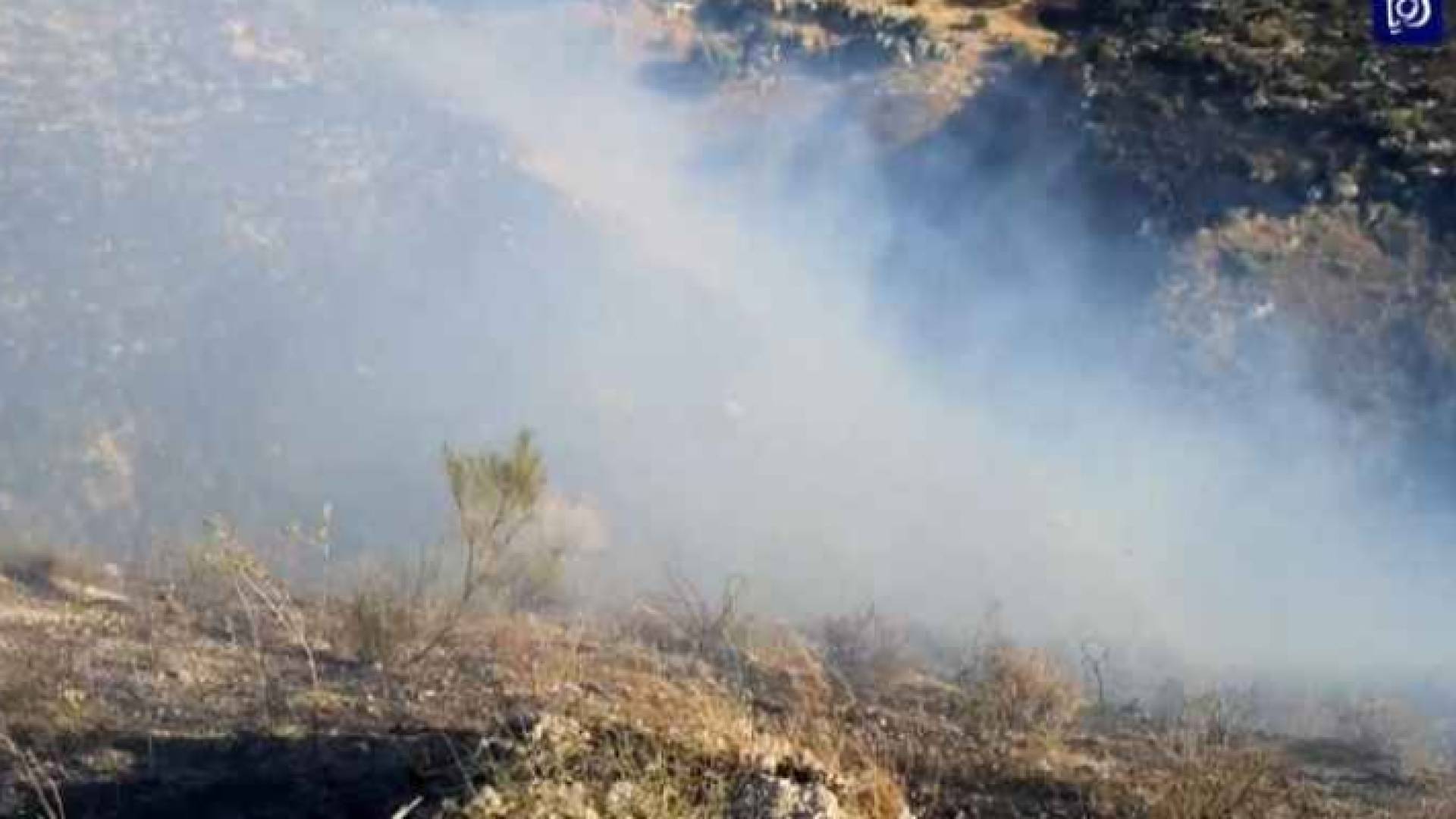 حريق أشجار مثمرة - أرشيفية