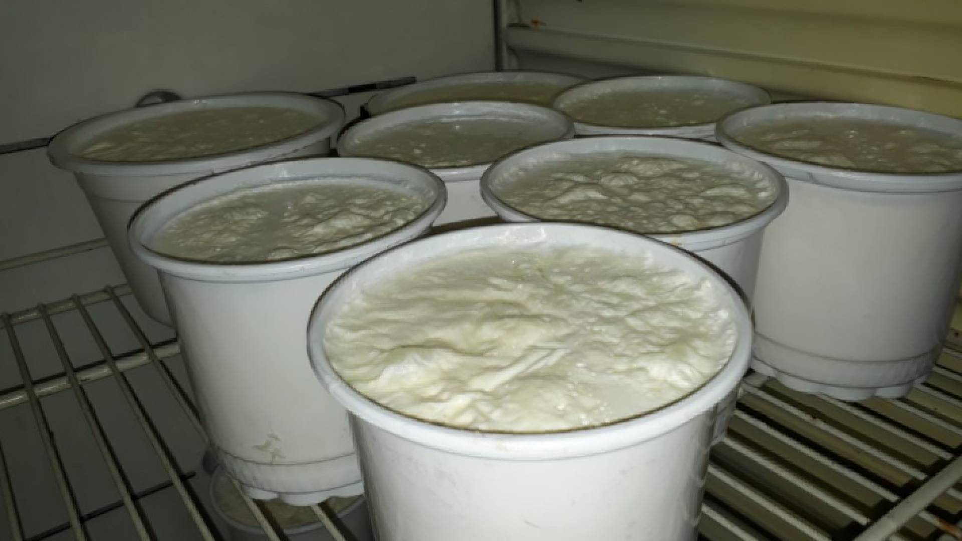 مصنع ألبان - ارشيفية