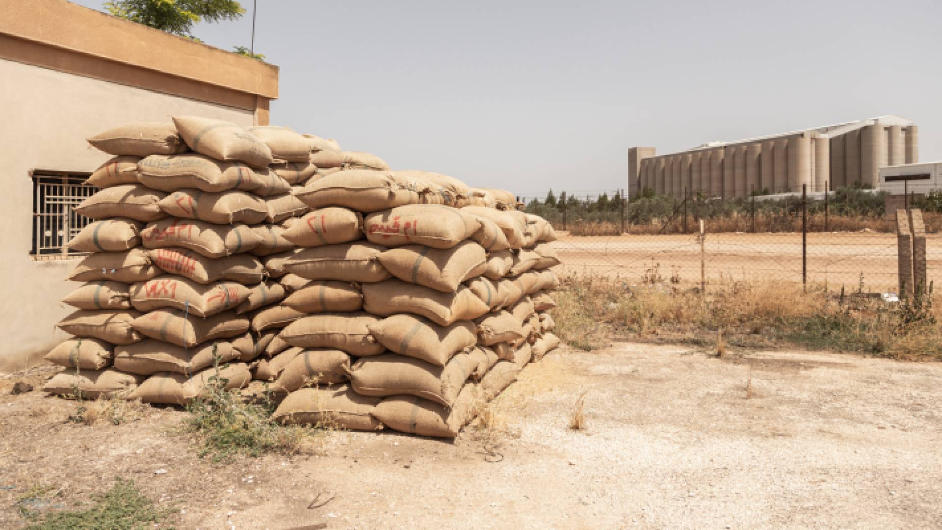 الزراعة تحدد اخر موعد لاستلام الحبوب