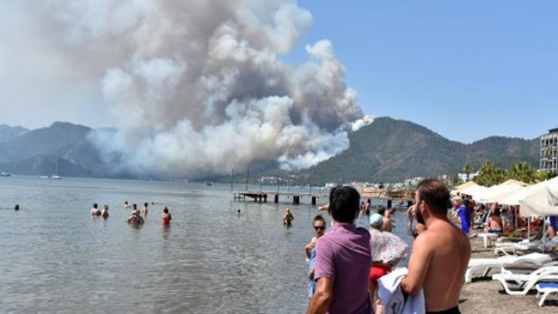 وزير الزراعة التركي دعا للتحلي بالصبر