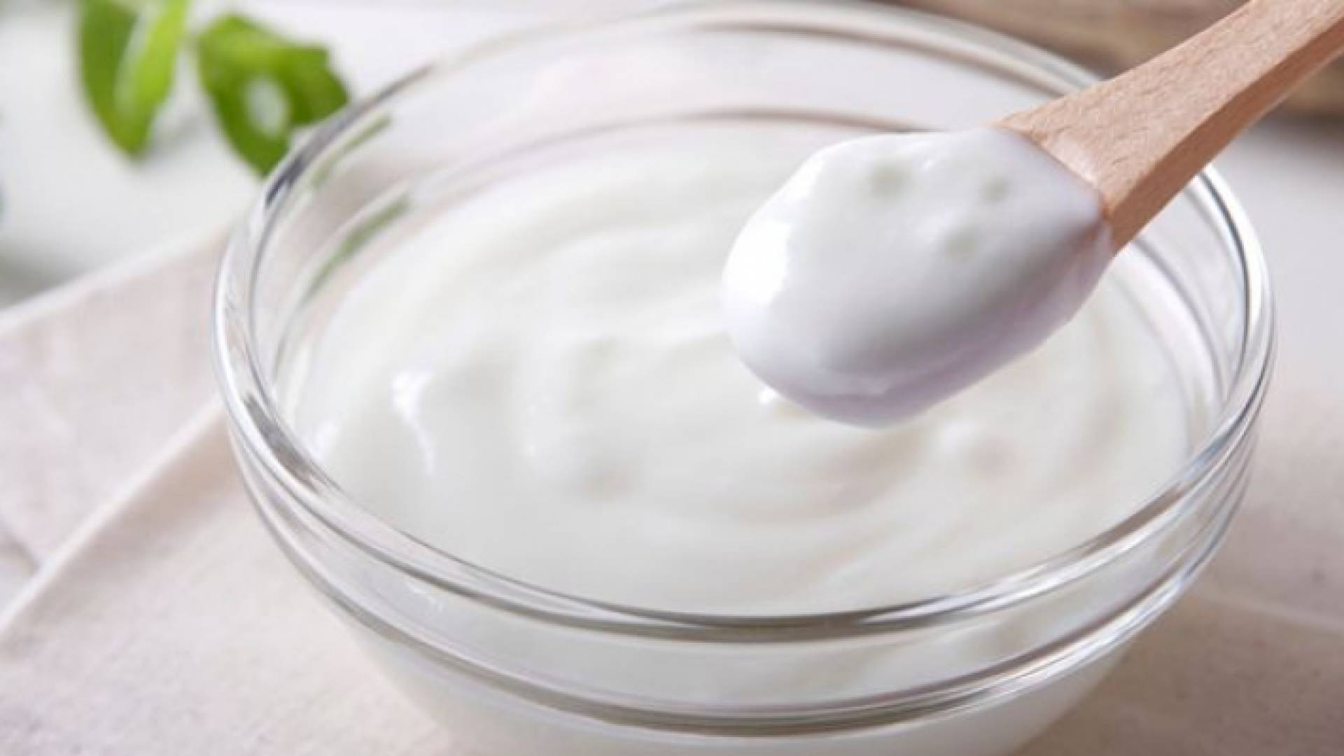 مهم من غرفتي صناعة "الأردن وعمان" حول أسعار الألبان