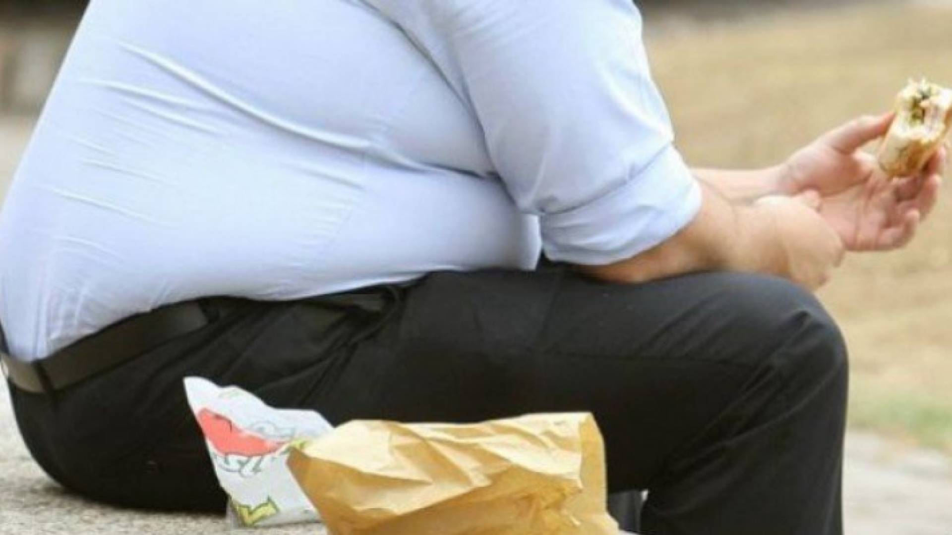 تشمل حالات انعدام الأمن الغذائي حالة انعدام الأمن الغذائي الخفيف