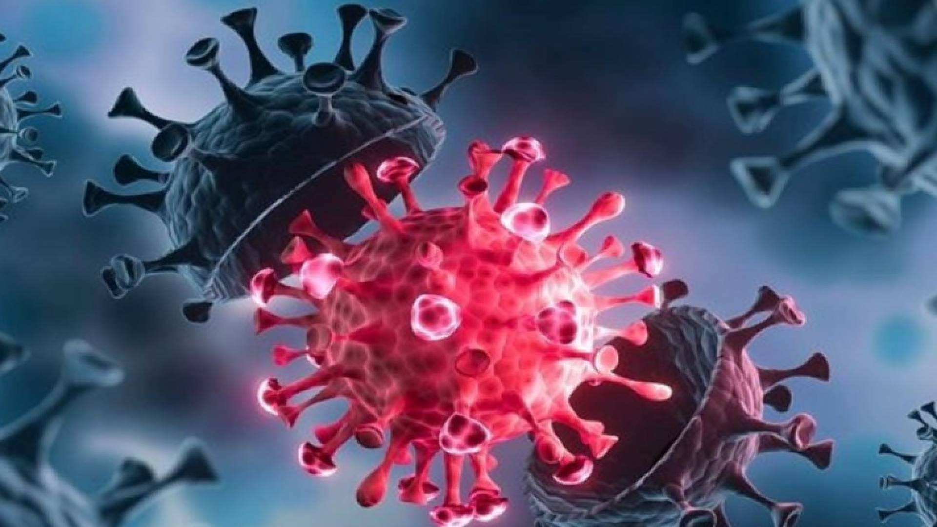 الفيروس قد يكون مفيدا لصحة البشر