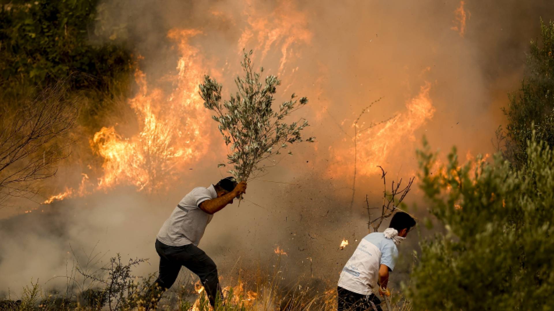 الحرائق في تركيا تعد الأكثر فتكا منذ عقود