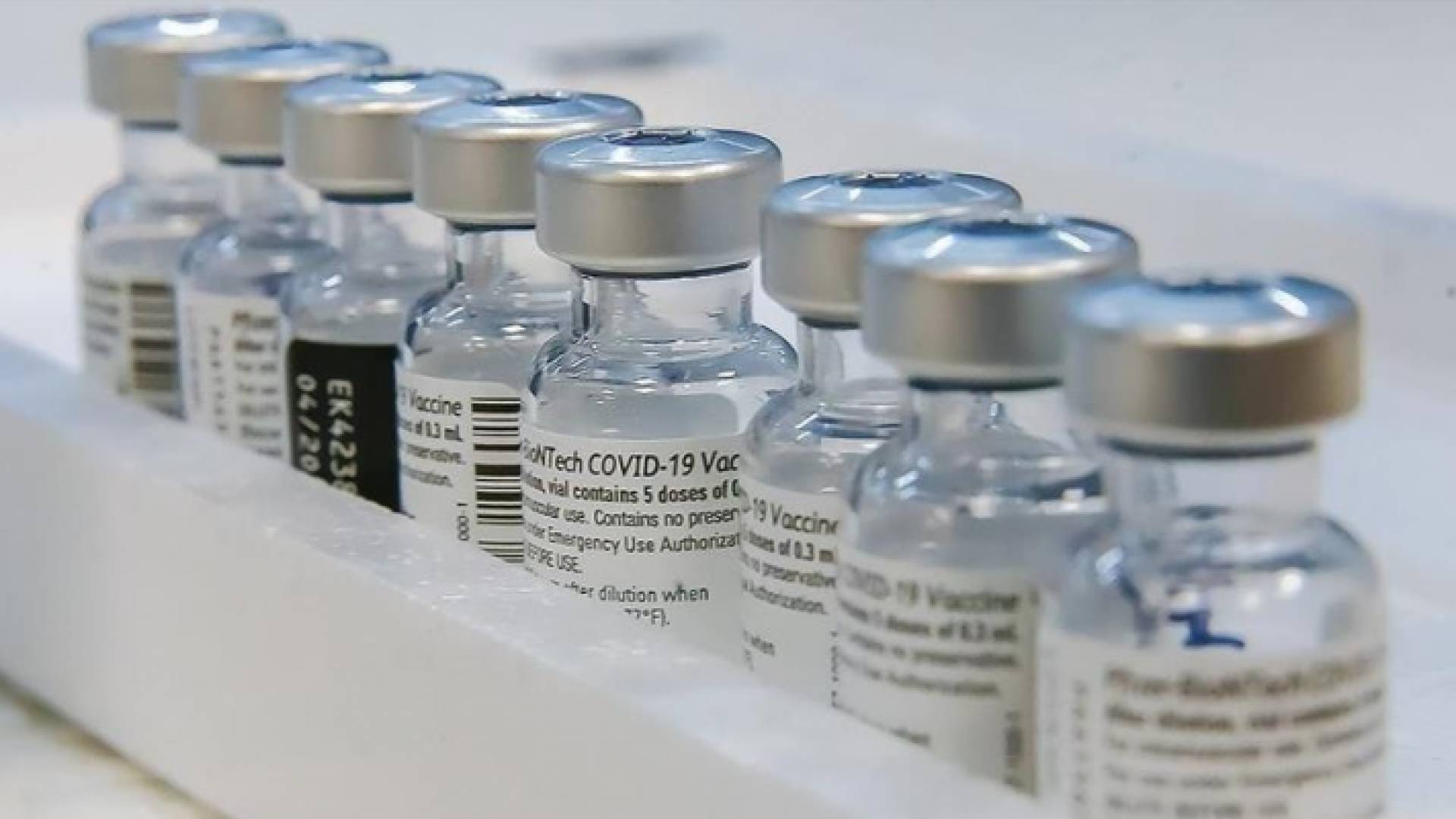 لقاحات مضادة لفيروس كورونا