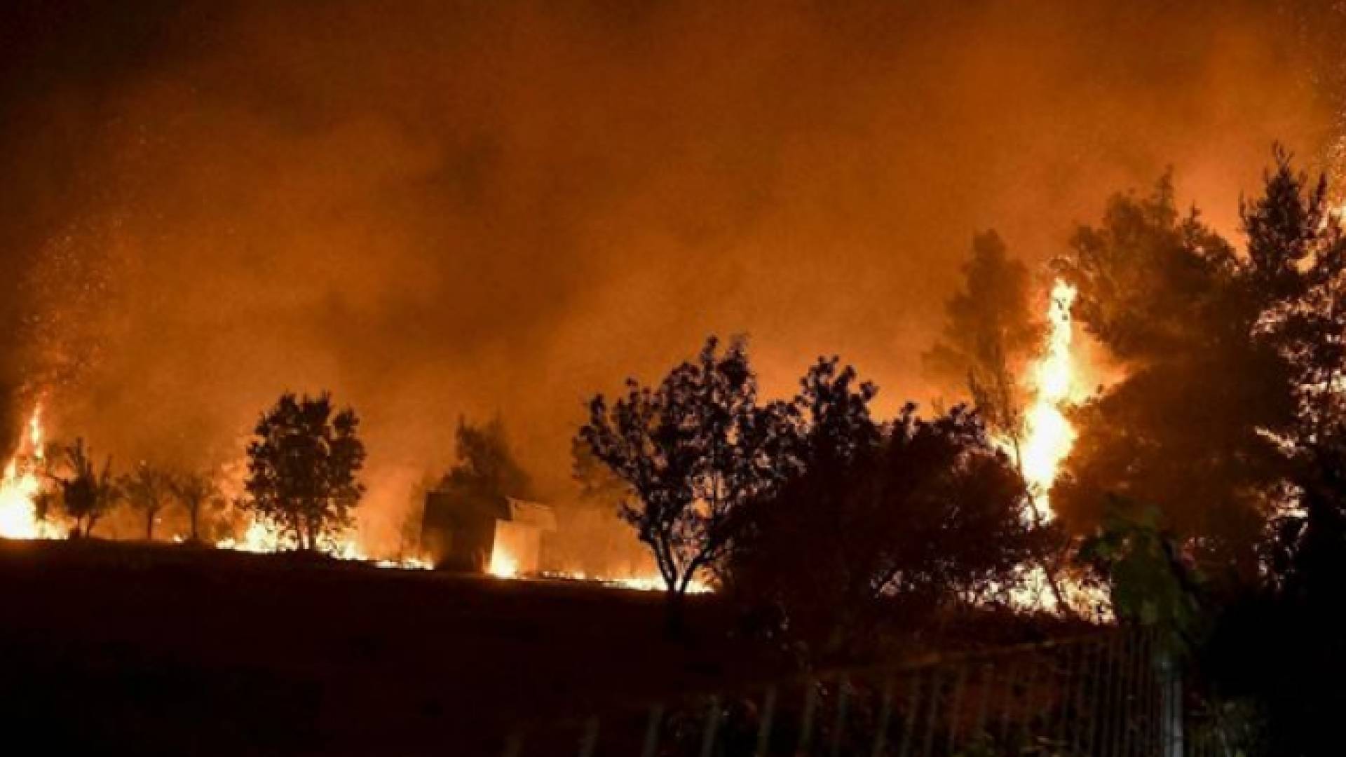 حرائق غابات تأتي على حوالى 150 ألف هكتار في كولومبيا