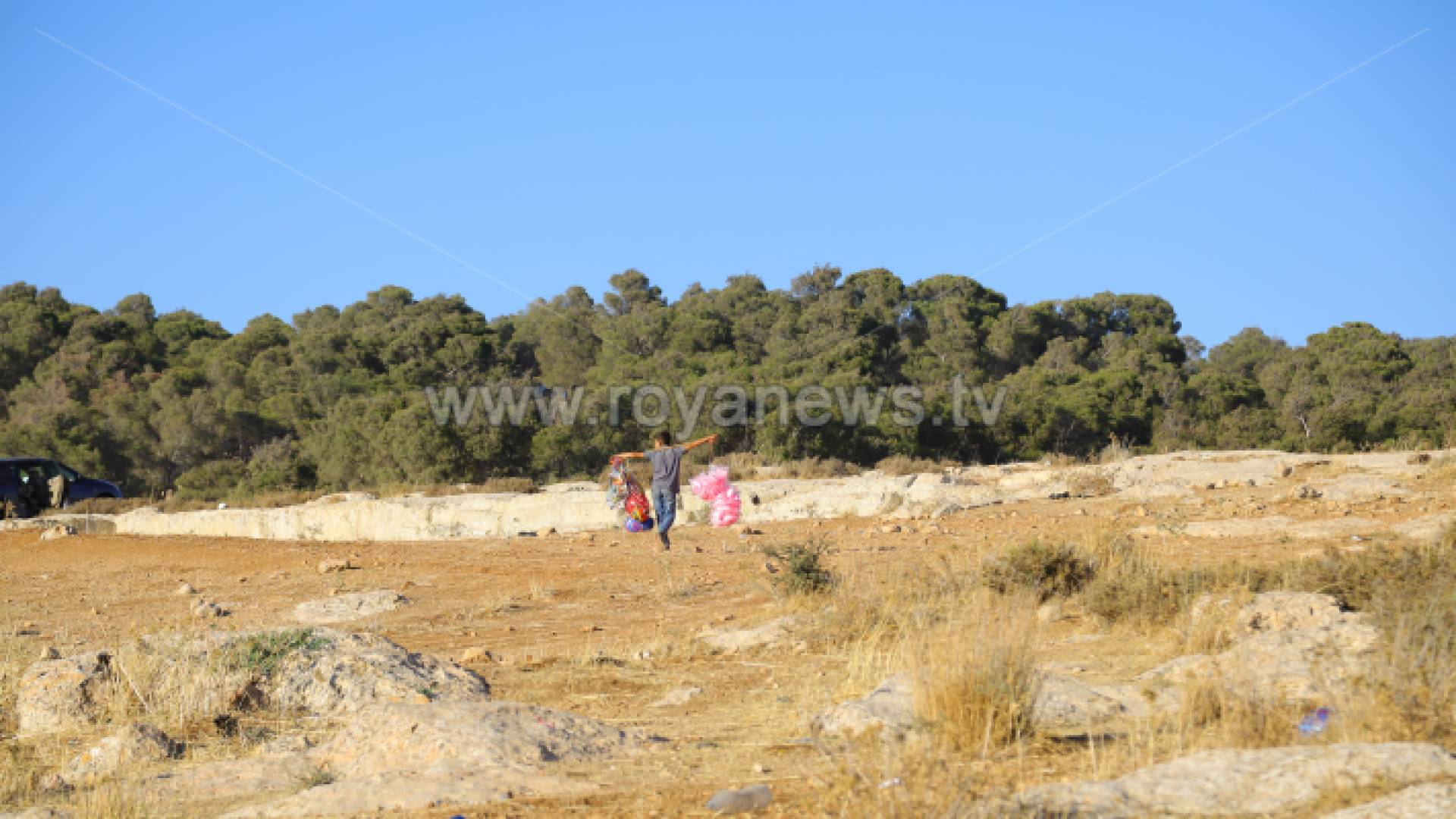 صورة عامة - ارشيفية