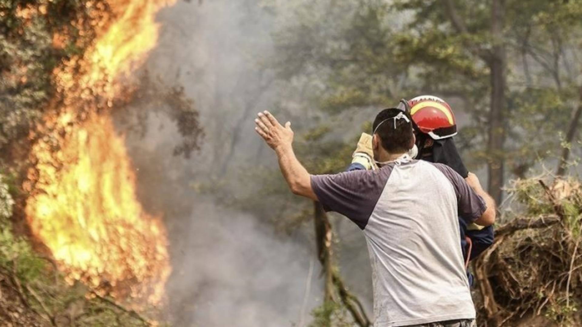 اليونان تعاني في ظل درجات حرارة مرتفعة للغاية