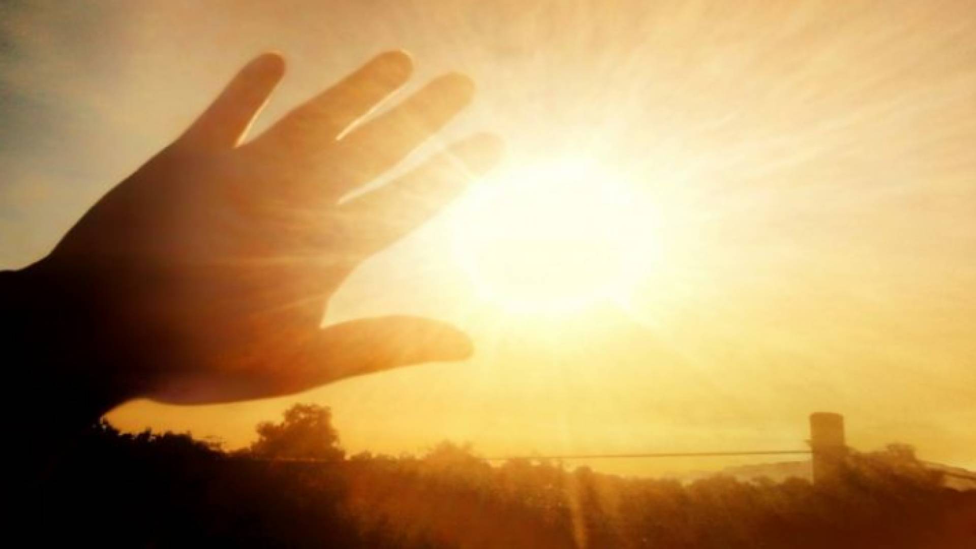 بلدية الطفيلة تمنح عمال الوطن ساعات استراحة بسبب ارتفاع درجات الحرارة