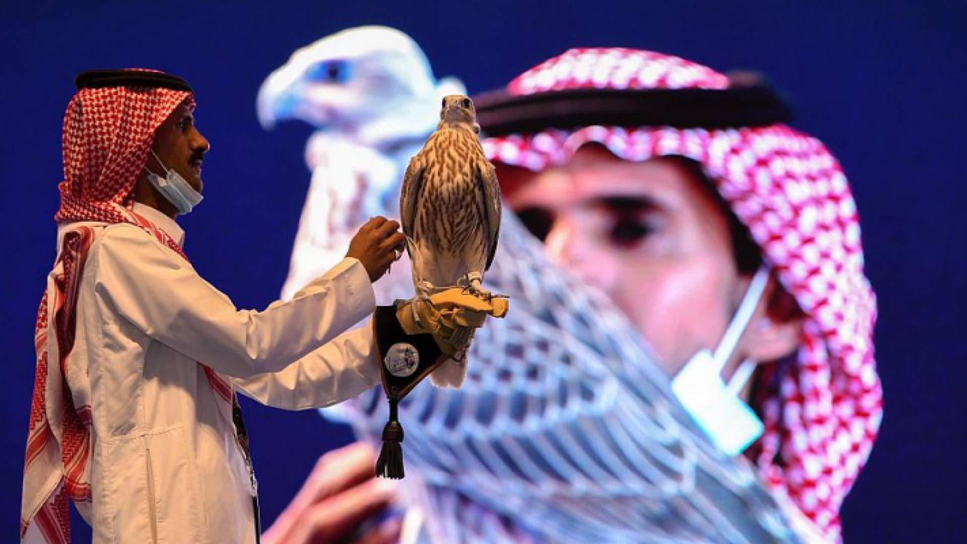 الصقر إنتاج سعودي (حر من حر)