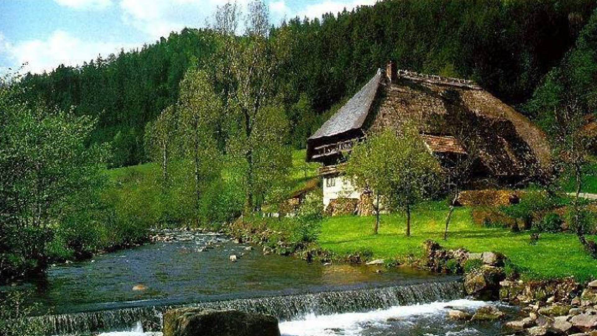 نجحت مصارف الكربون هذه في إزالة 56 في المئة من ثاني أكسيد الكربون المنبعث من النشاطات البشرية