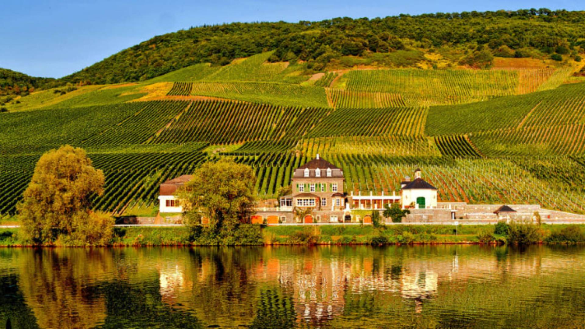 شاهد سكان المنطقة بحزن تحول الحقول الخضراء إلى سهول مغبرة بنية