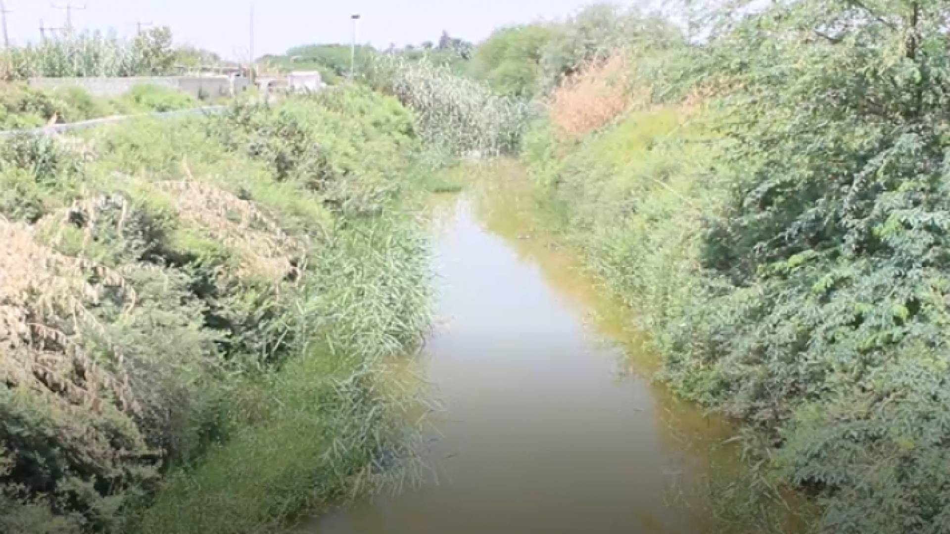 نفايات متراكمة بقناة الملك عبدالله