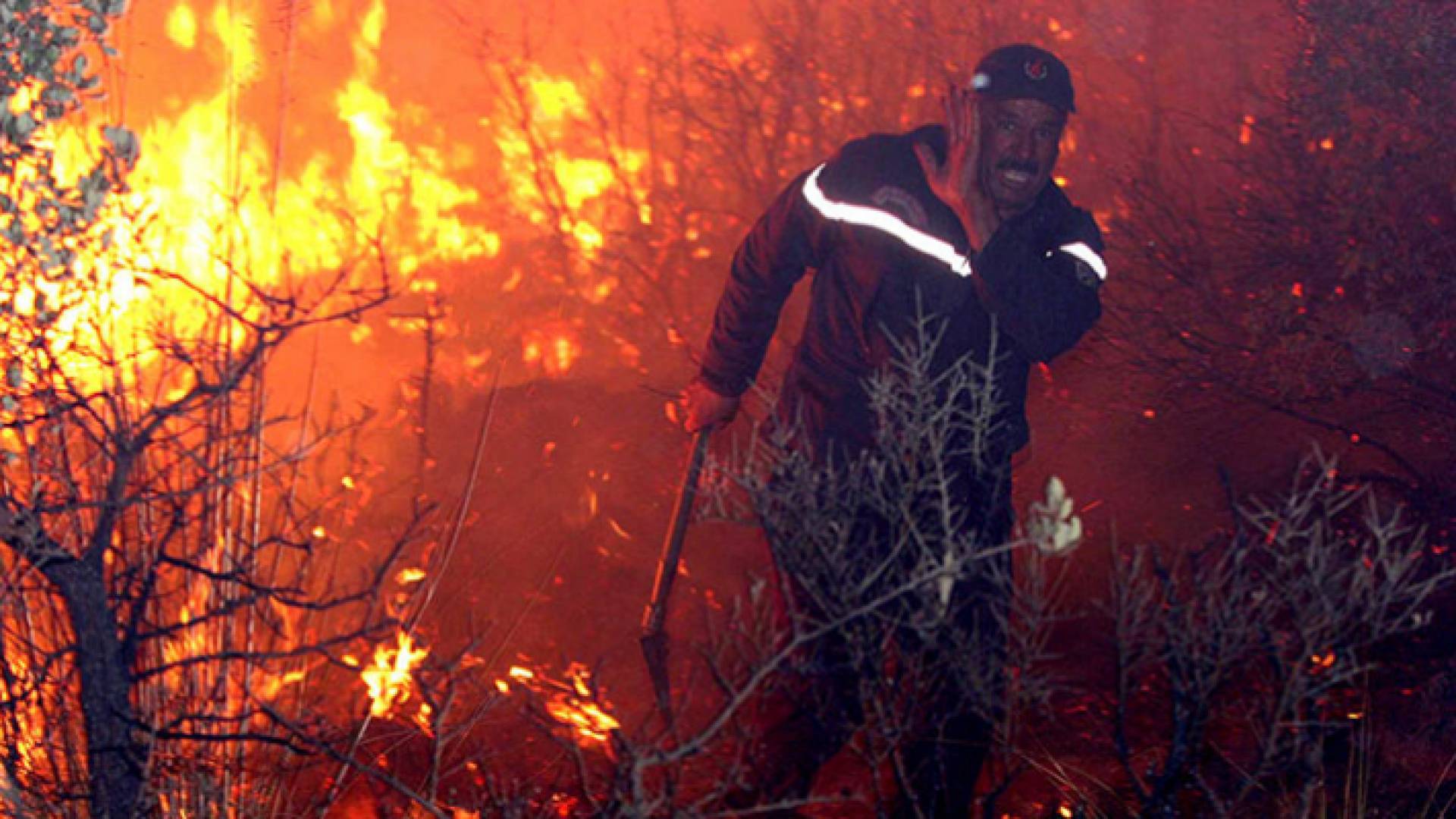 أحد رجال الإطفاء يحاول مكافحة الحرائق في الجزائر