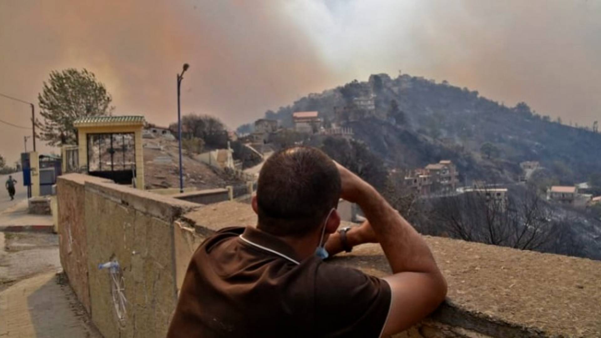 عشرات القتلى والجرحى بحرائق الجزائر