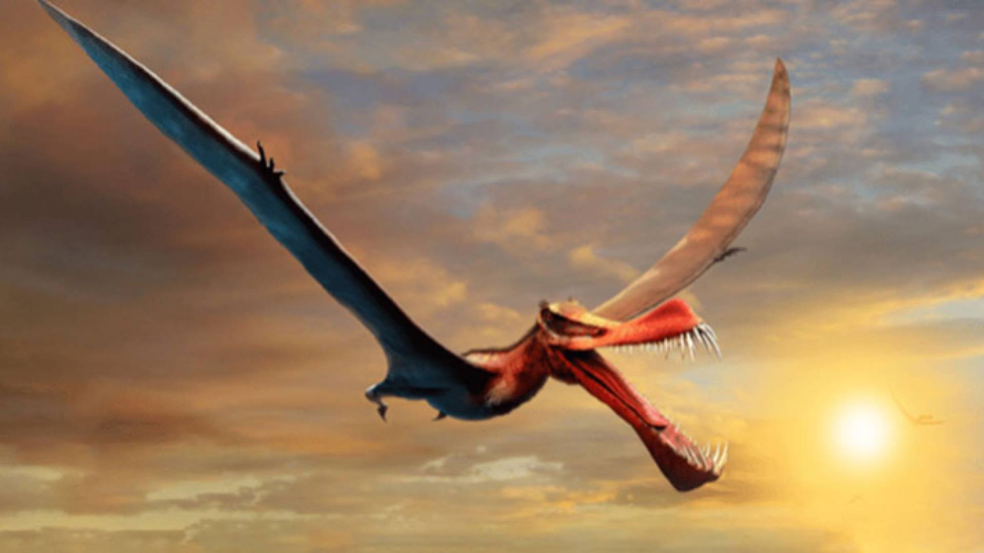 حيوان التيروشصور