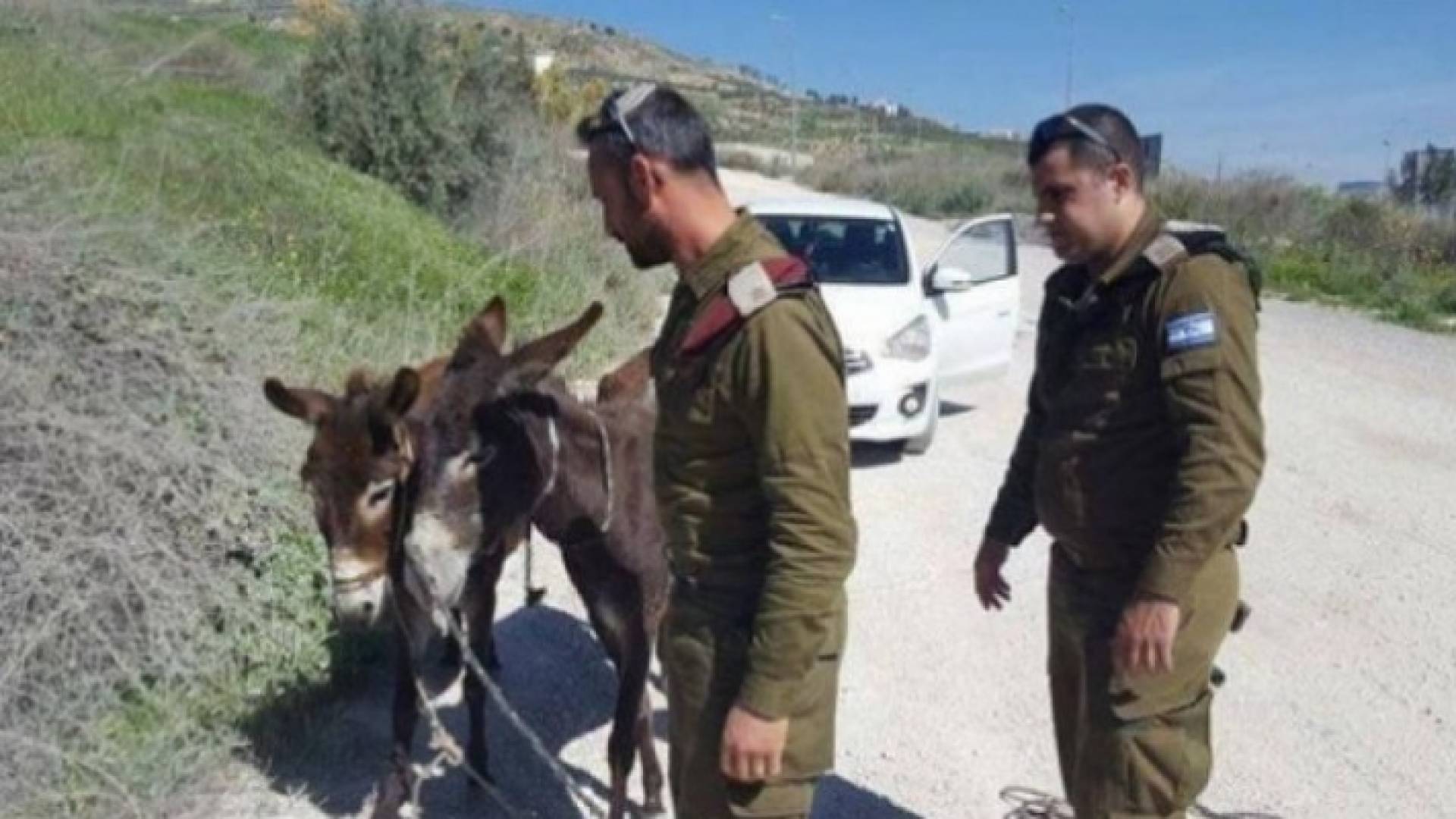 الانتهاكات الإسرائيلية متواصلة في الأراضي الفلسطيني