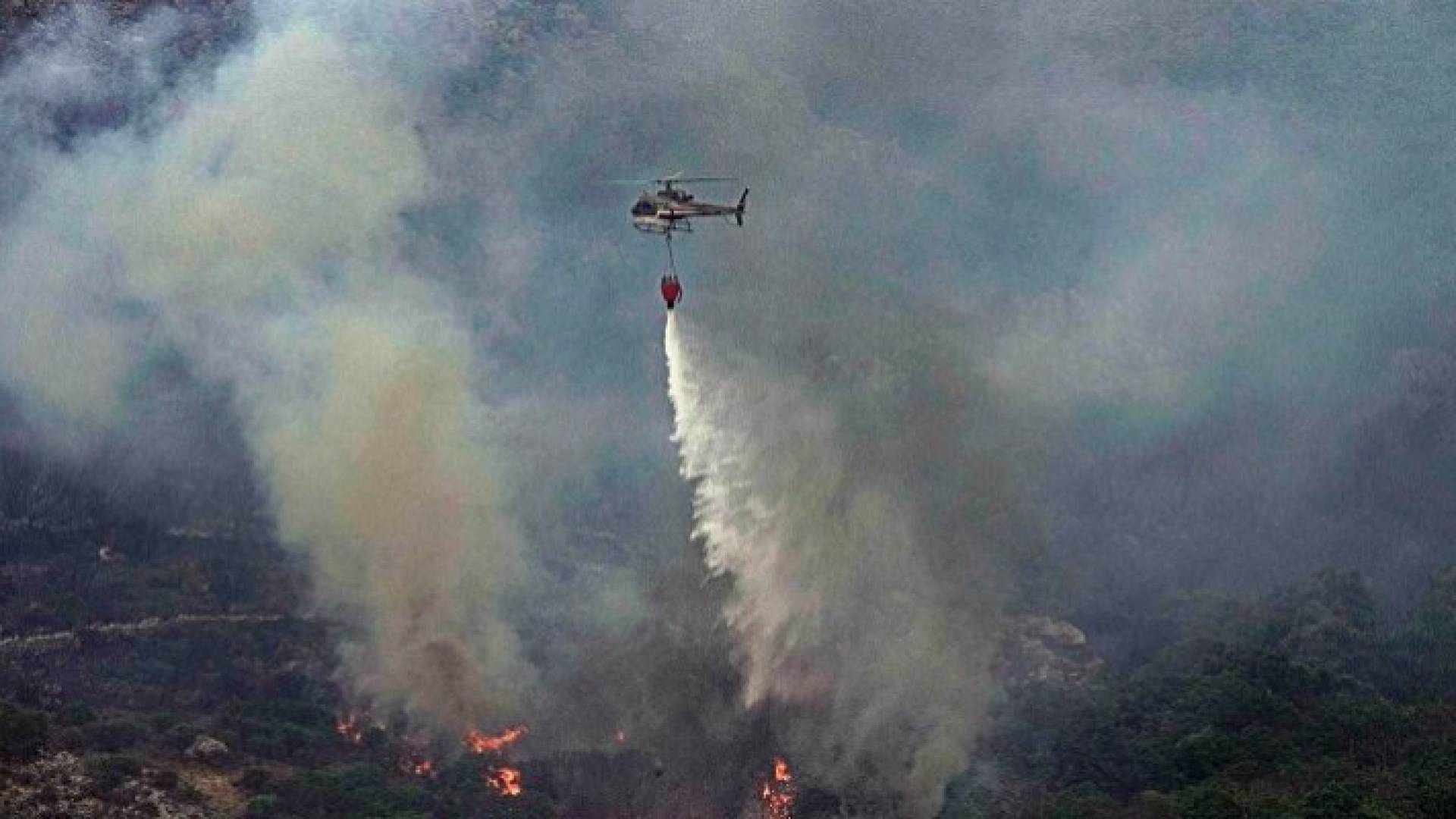 الحرائق ما زالت مستعرة في الجزائر