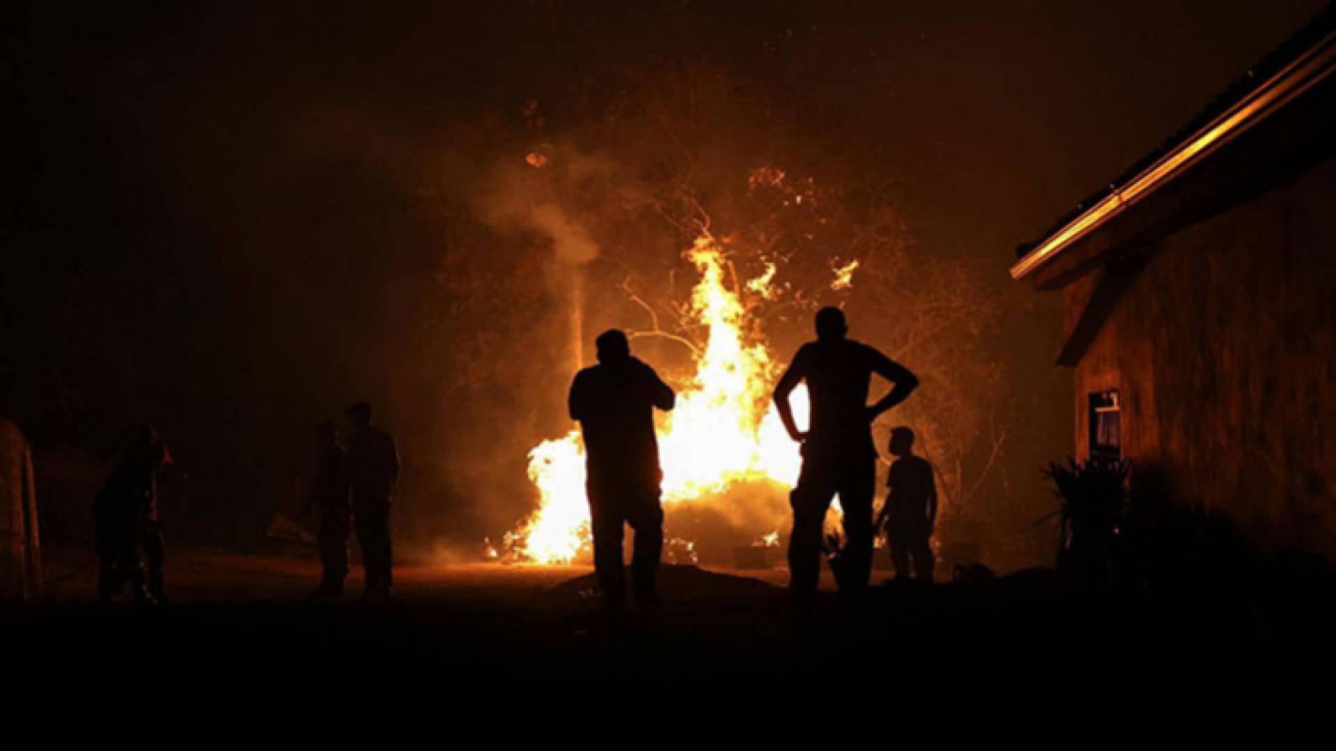 من حرائق الغابات حول العالم