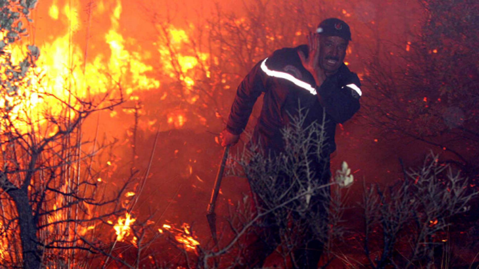 النيران التهمت الأخضر واليابس