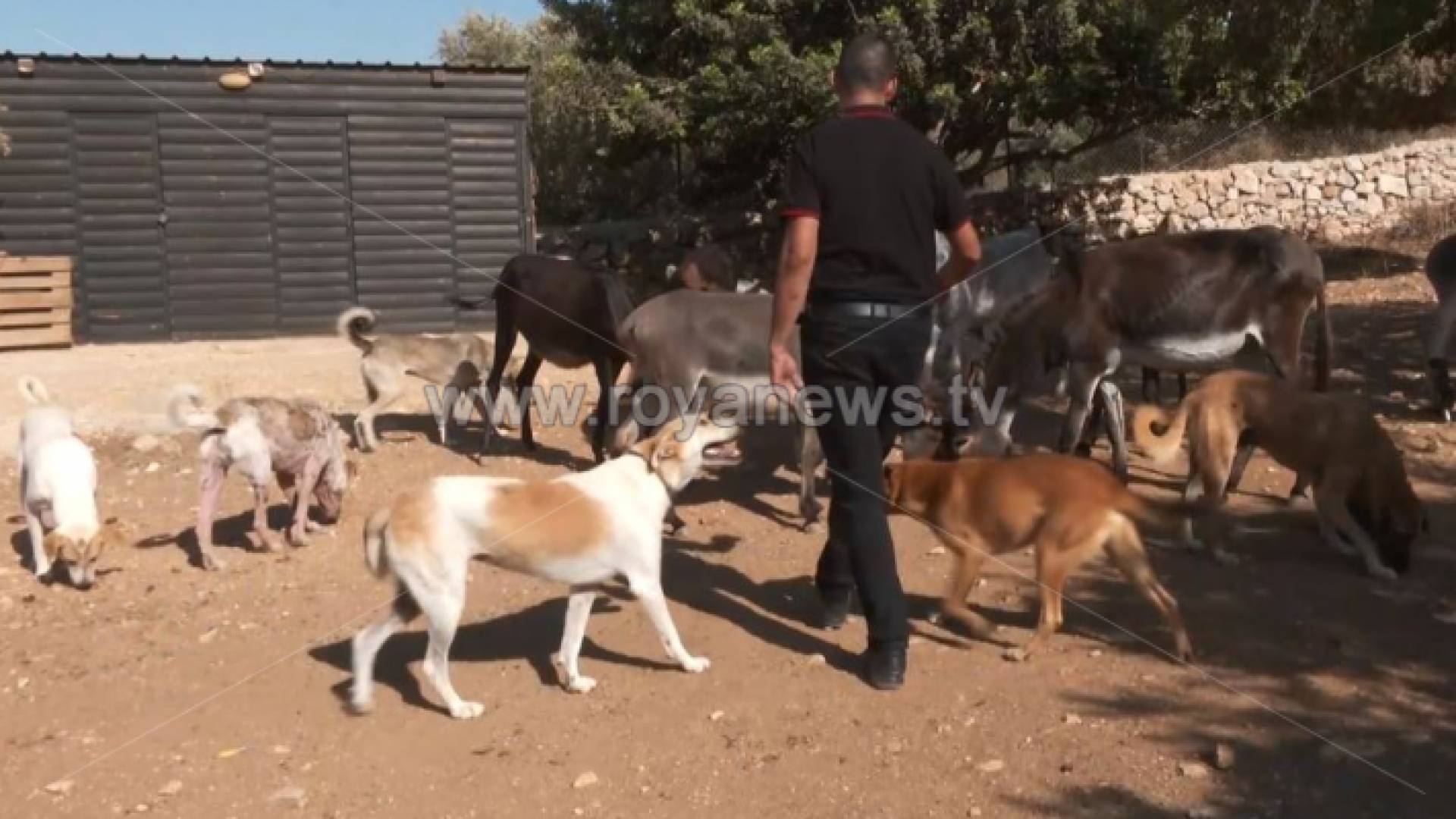 حديقة الطبيعة