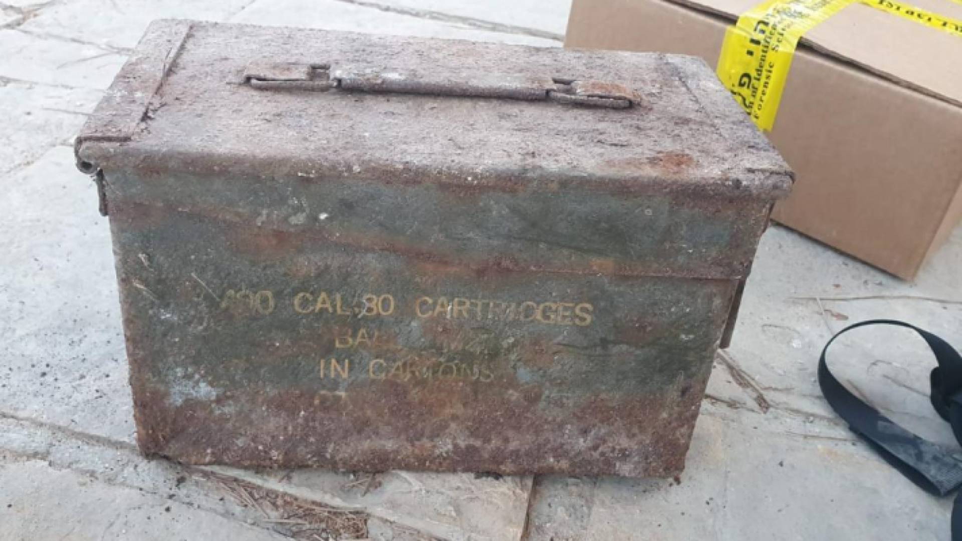 رفات الشهيد