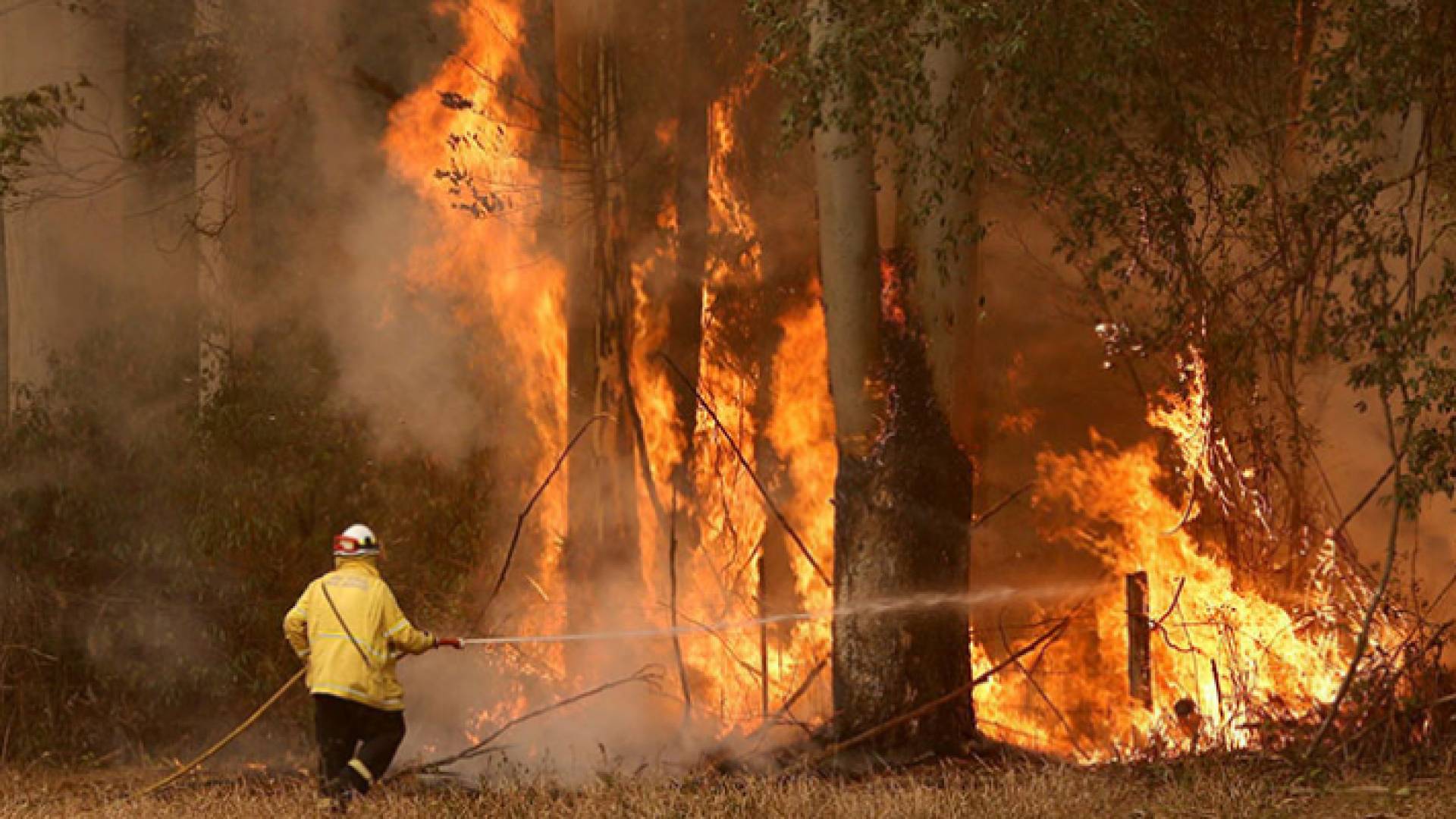 حرائق غابات في اليونان