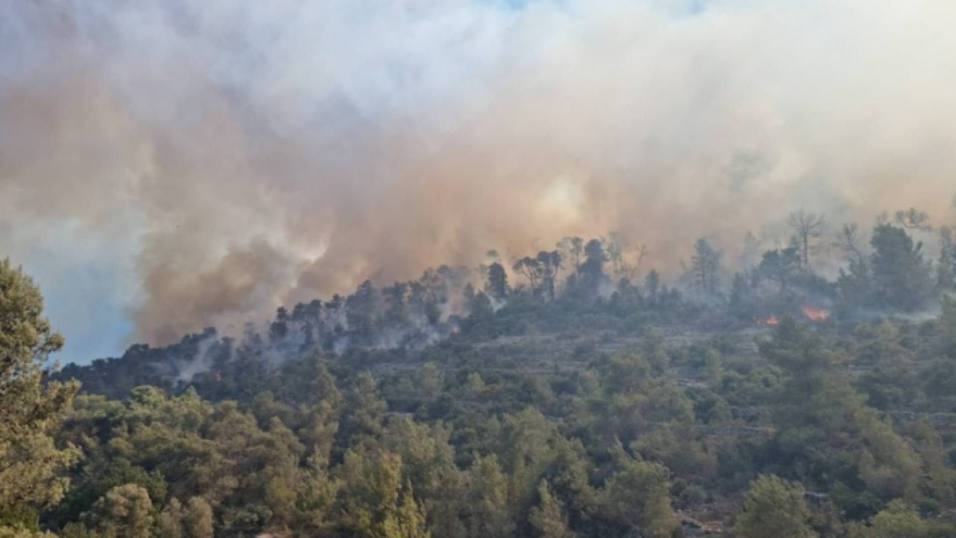 حريق كبير بجبال القدس وإخلاء منازل للمستوطنين