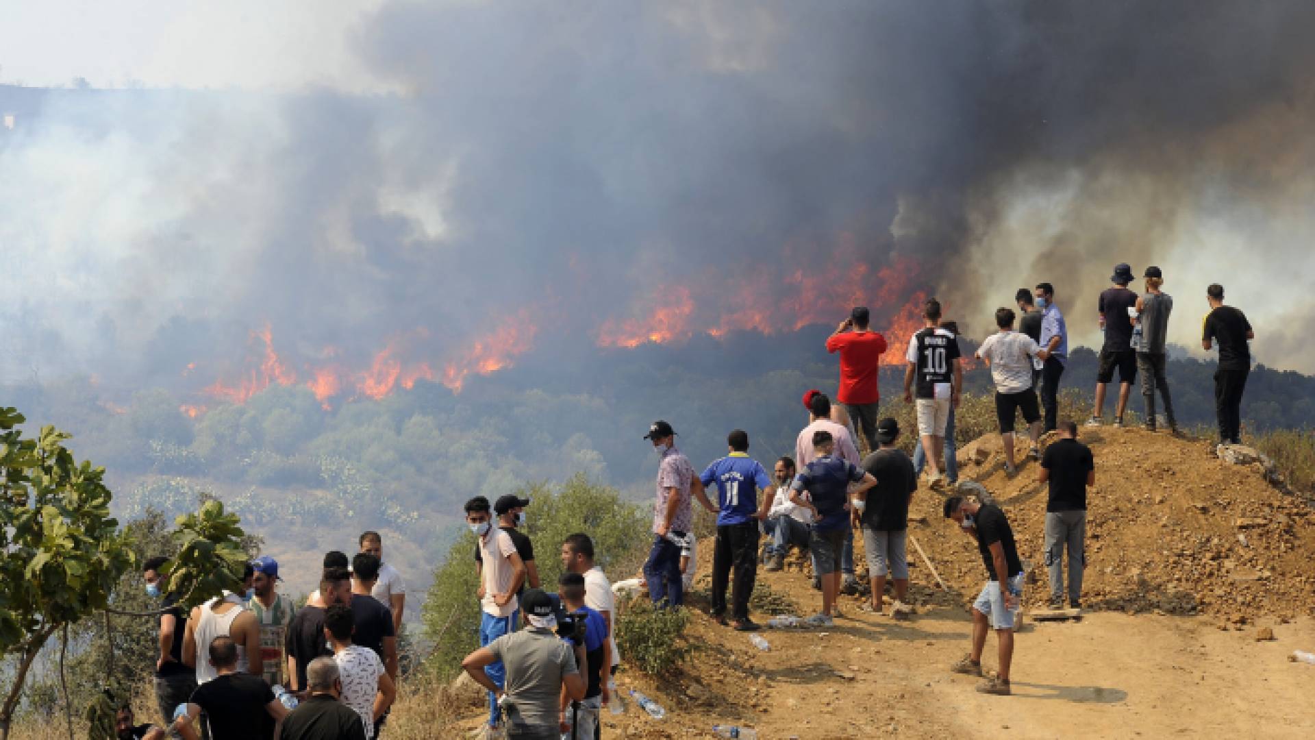 قال الرئيس الجزائري عبد المجيد تبون ان اغلب الحرائق مفتعلة