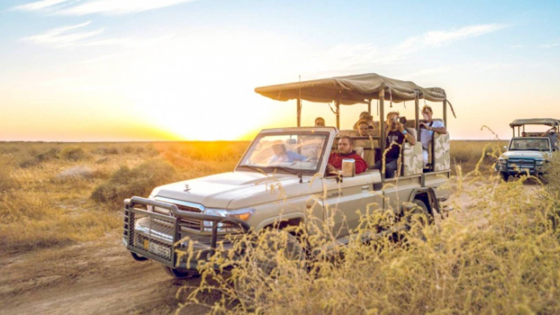 أجواء تشبه الأدغال