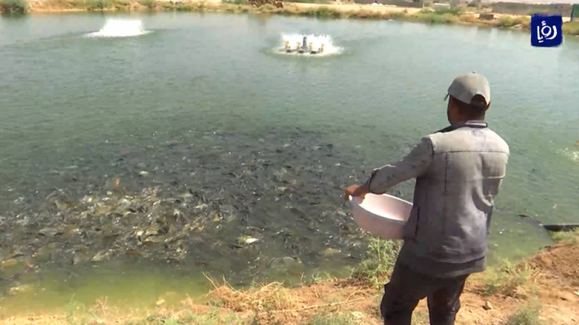 وزير الزراعة قال إن قطاع الأسماك يشكل قيمة مضافة للقطاع الزراعي