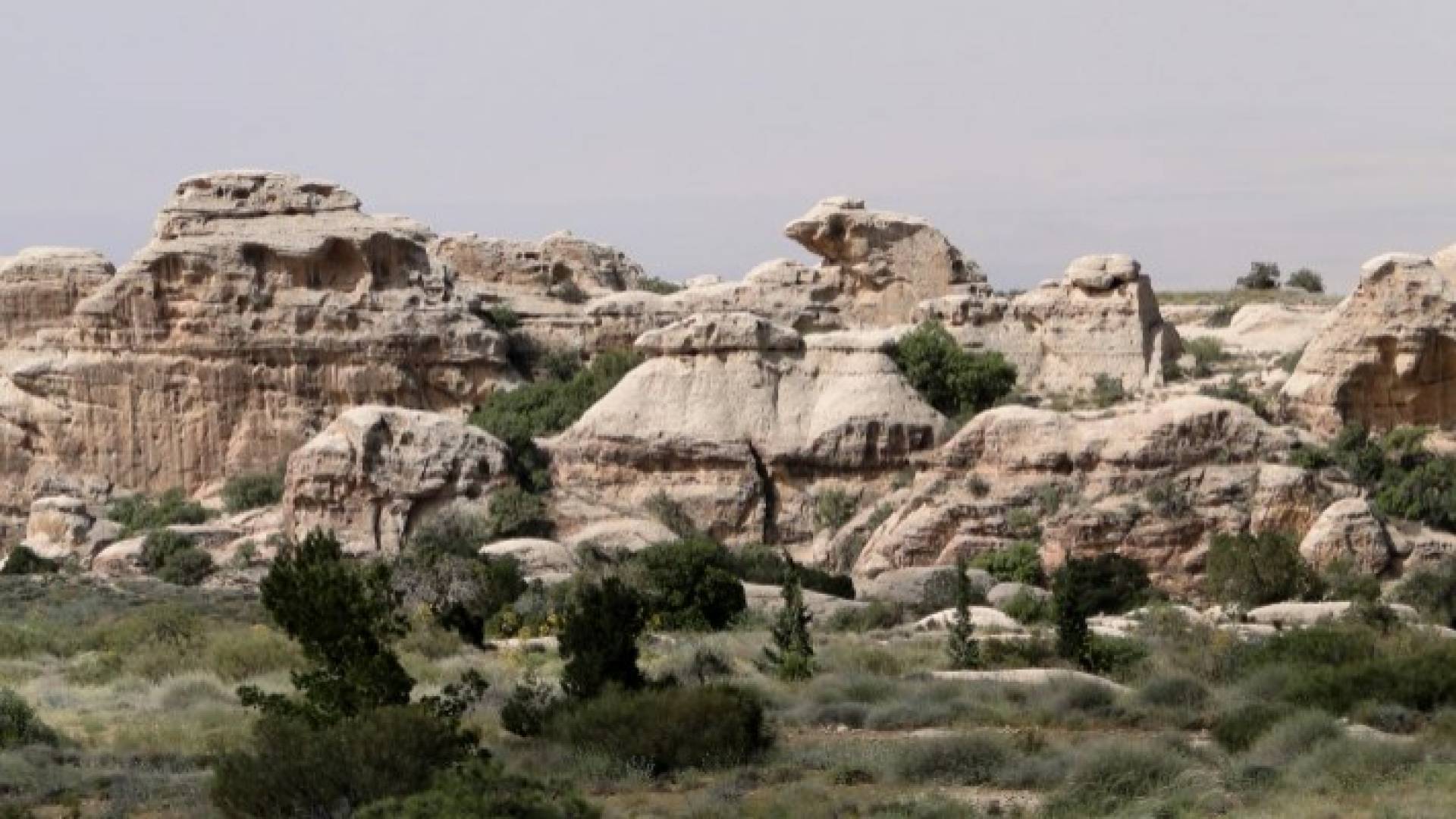 محمية ضانا - ارشيفية