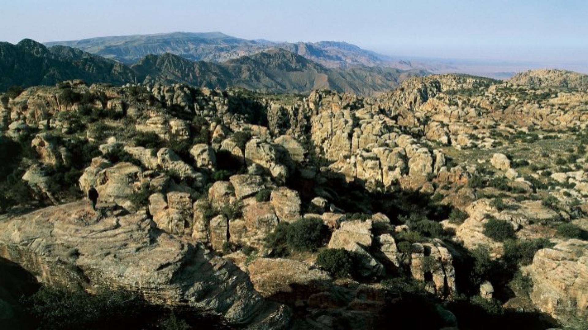 محمية ضانا - ارشيفية