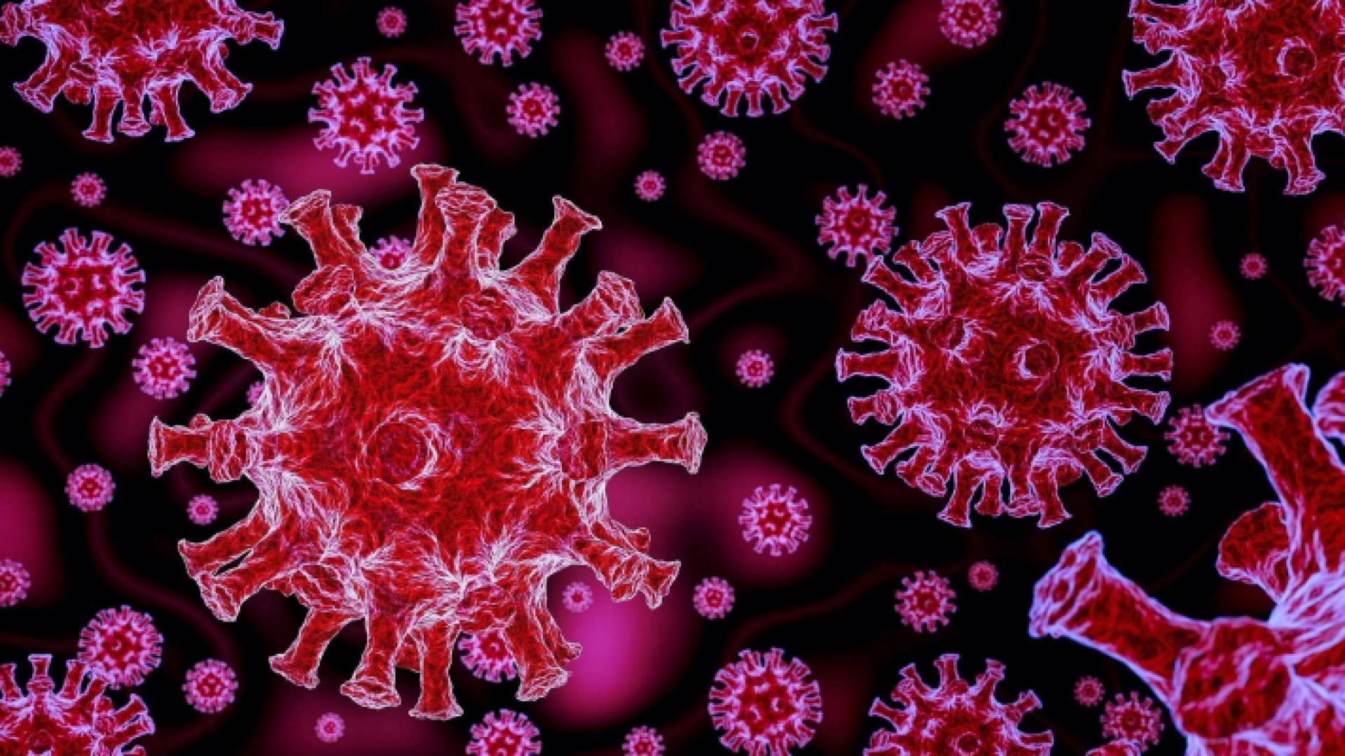 اكتشاف حالات إصابة بمتحور إيتا Eta