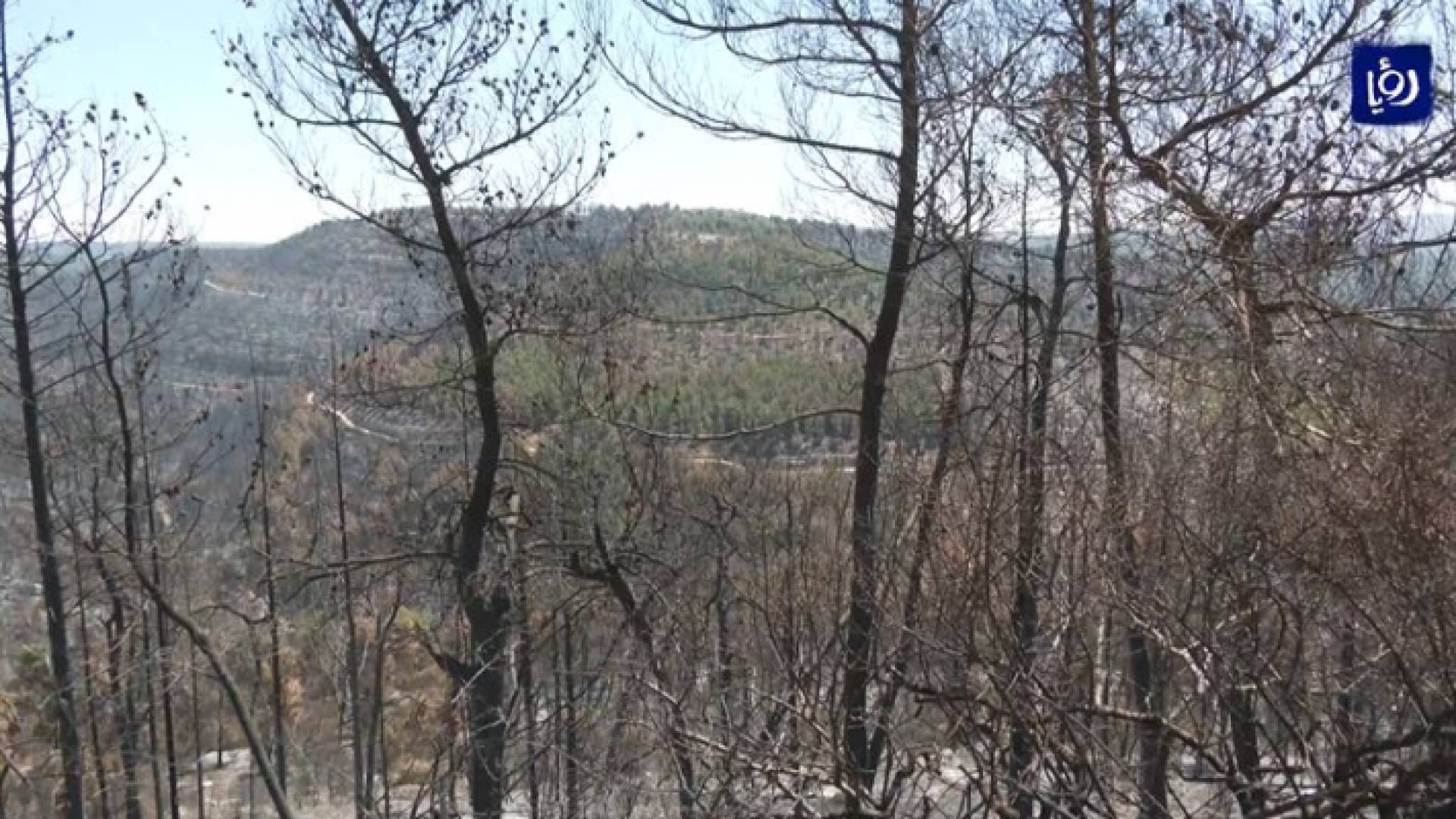 حرائق غابات القدس تعري الرواية الصهيونية ومزاعمها