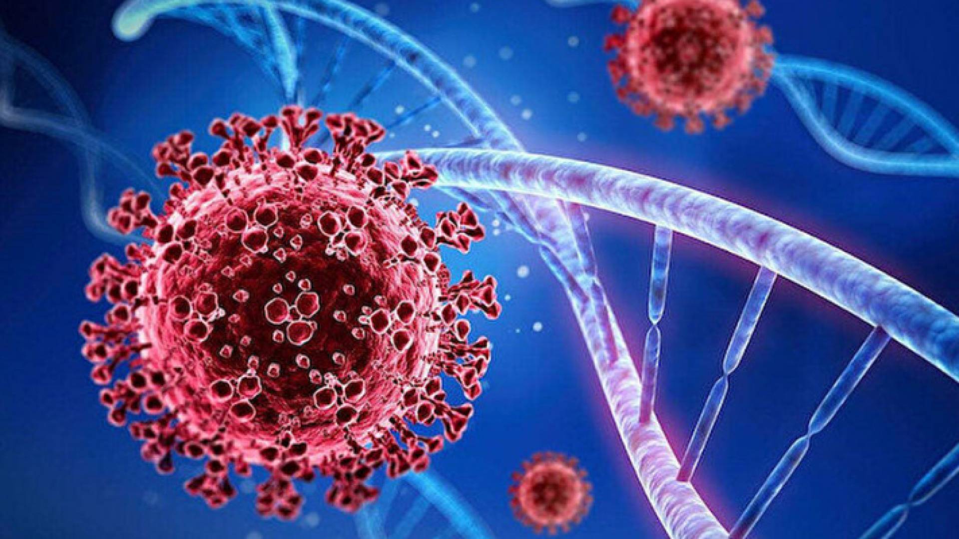 احتمالات ظهور سلالات أخرى في المستقبل أكثر فتكا
