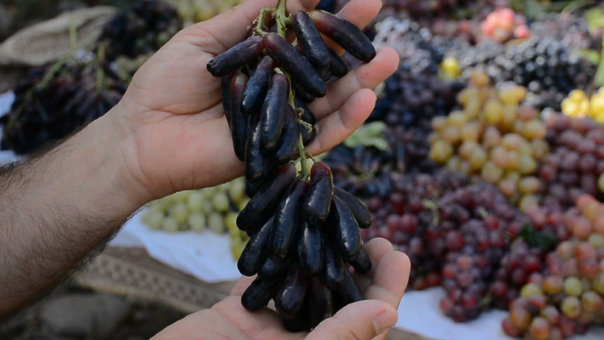 مزارع عراقي يتمكن من إنتاج عنب بطول السبابة