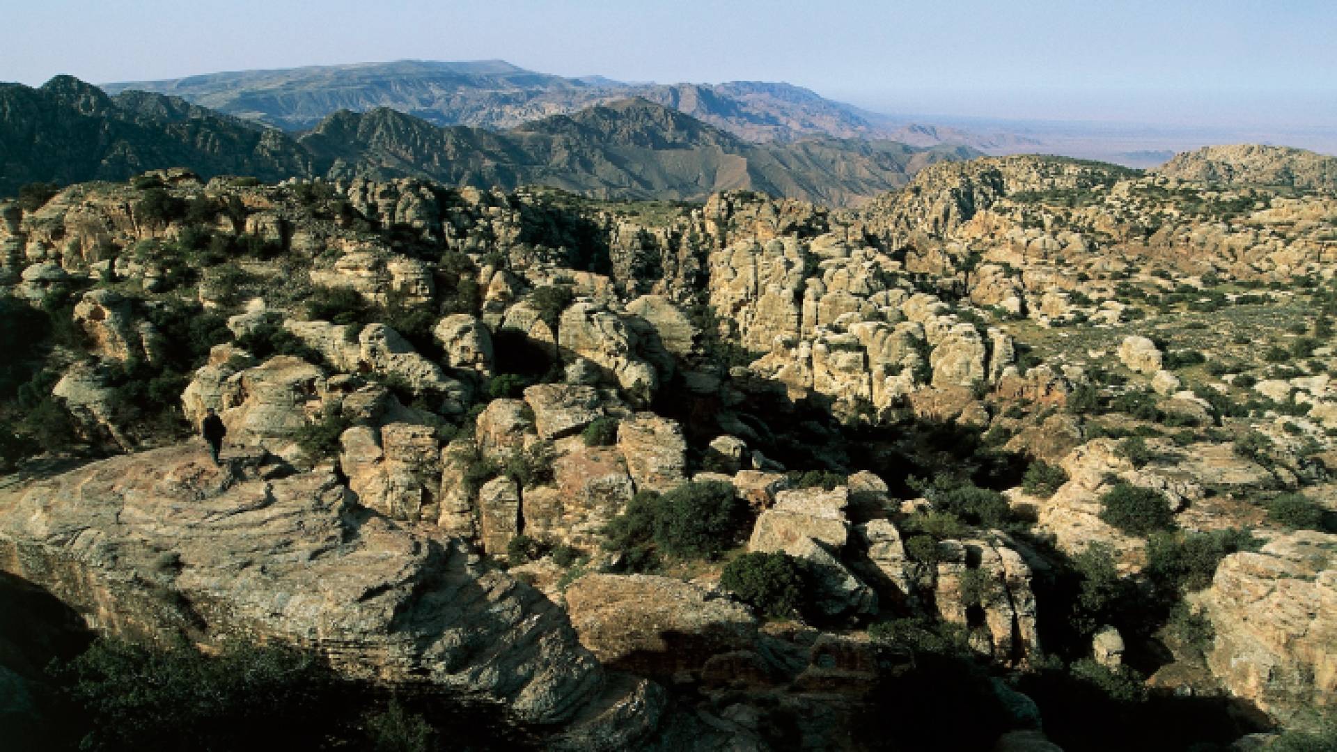 محمية ضانا - ارشيفية