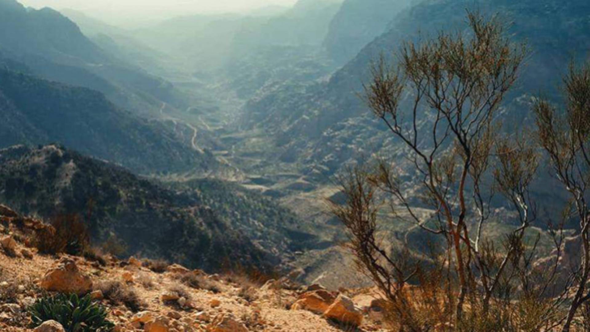 محمية ضانا - ارشيفية