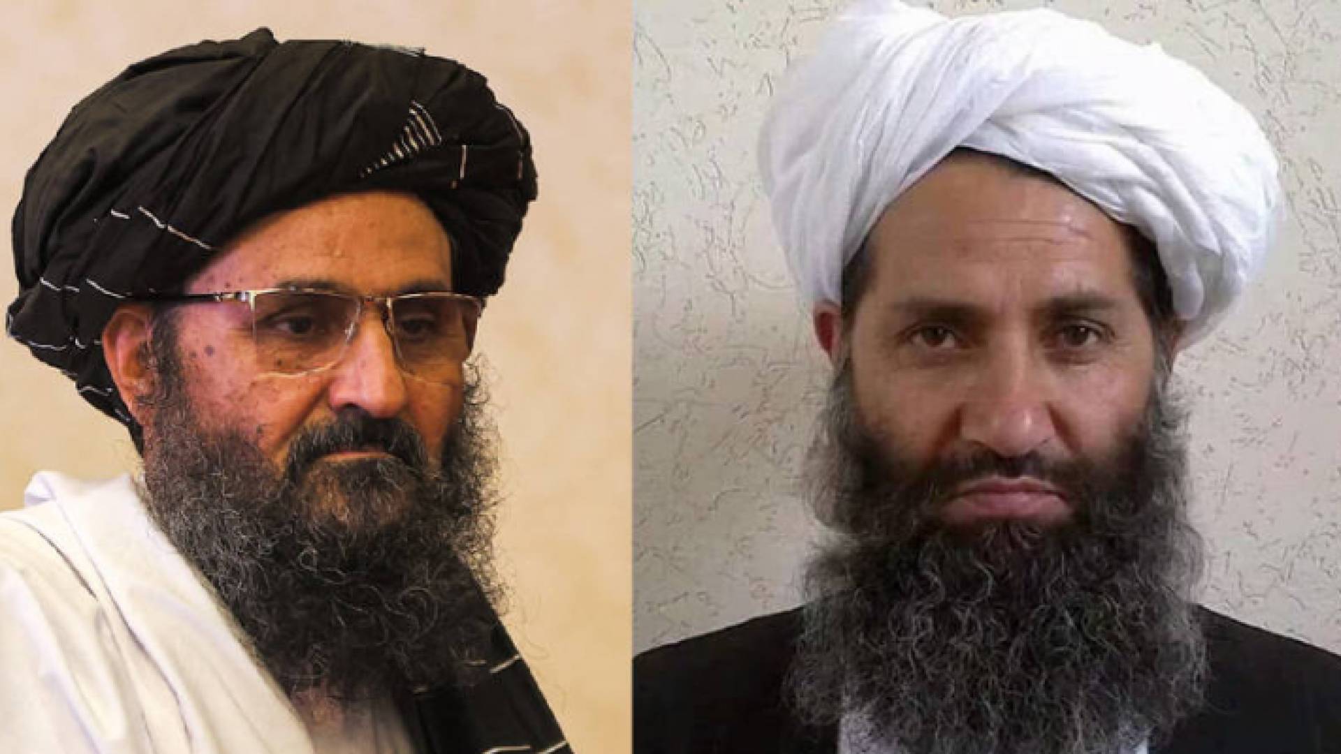 حركة طالبان