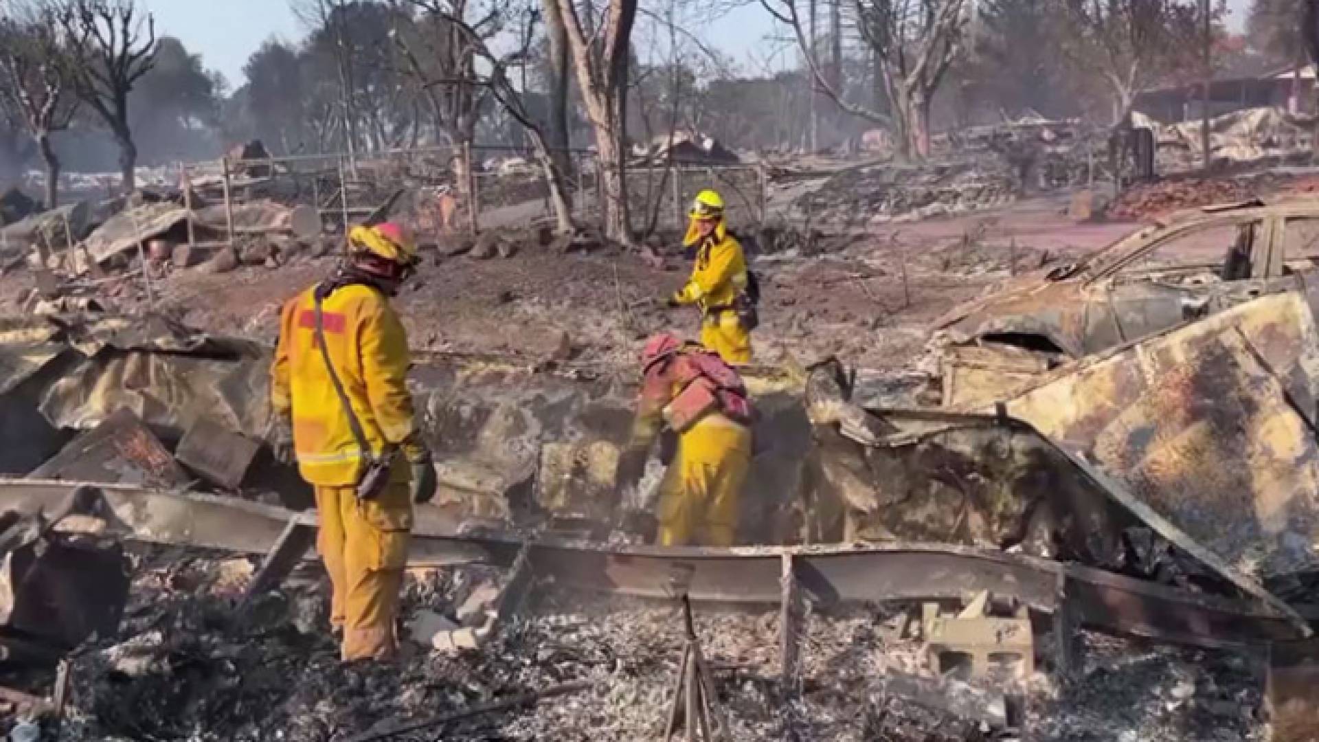 رجال إطفاء يعملون على إخماد النيران في إحدى غابات كاليفورنيا