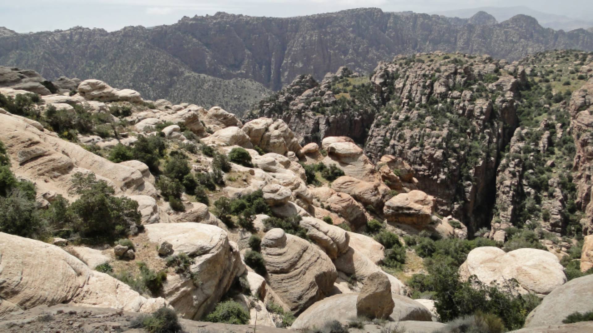 نقيب الجيولوجيين لرؤيا: هناك تبطاؤ شديد في استغلال خامات النحاس في الأردن