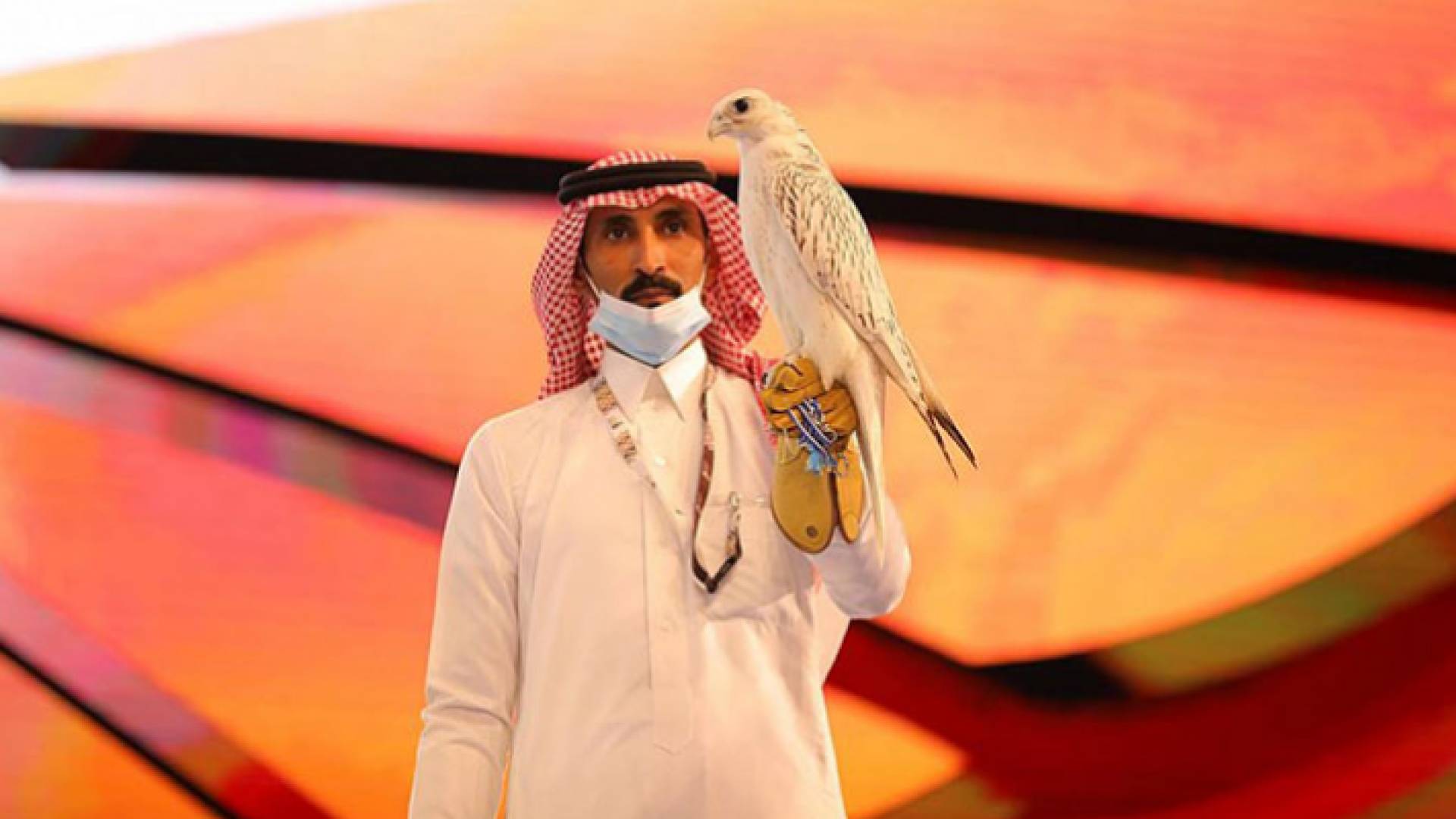 الصقر النادر