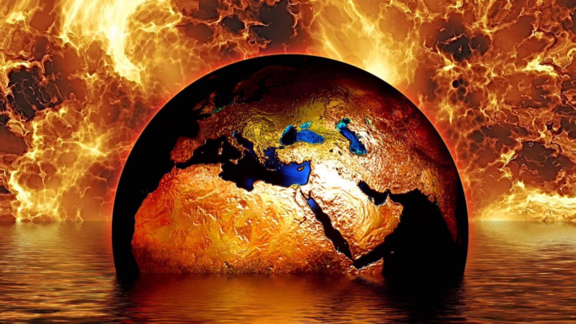 حرائق الغابات ساهمت بشكل كبير في انتشار جائحة كورونا